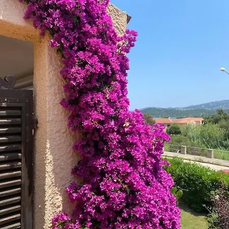 Casa Nautilus קניגיונה